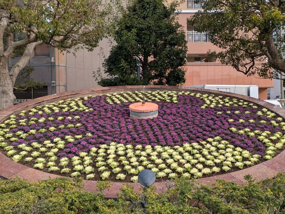 「かに」の図案を基に植え替えた「鳥取駅前花時計」（写真提供＝公益財団法人鳥取市公園・スポーツ施設協会）