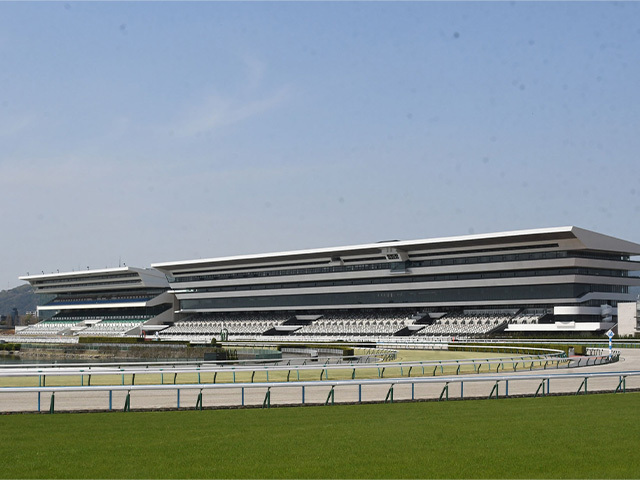 朝日杯FSが行われた京都競馬場(c)netkeiba