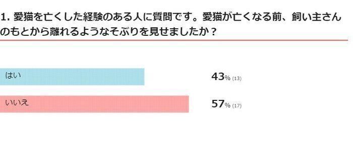 ※2024年9月実施「ねこのきもちアプリ」内アンケート調査（回答者数 31人）