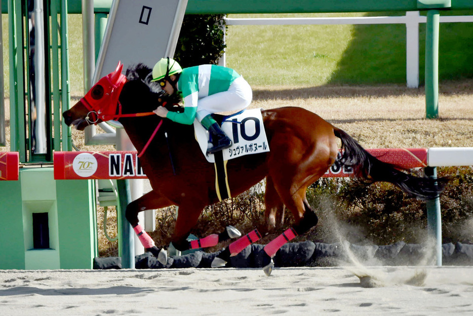 シュヴァルボヌールがぶっちぎりで初陣を飾った