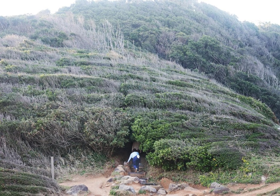 糸島トトロの森の入り口