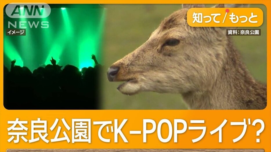 奈良公園でK－POP無料ライブの費用に県が税金2億7千万円　知事「両国の親善」