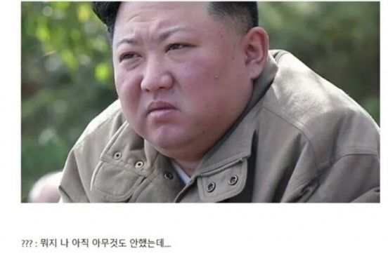 北朝鮮のキム・ジョンウン（金正恩）総書記の風刺ミーム＝オンラインコミュニティより(c)NEWSIS