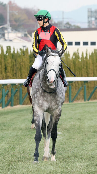 坂井瑠星騎手騎乗のマッドクールは２着（カメラ・高橋　由二）