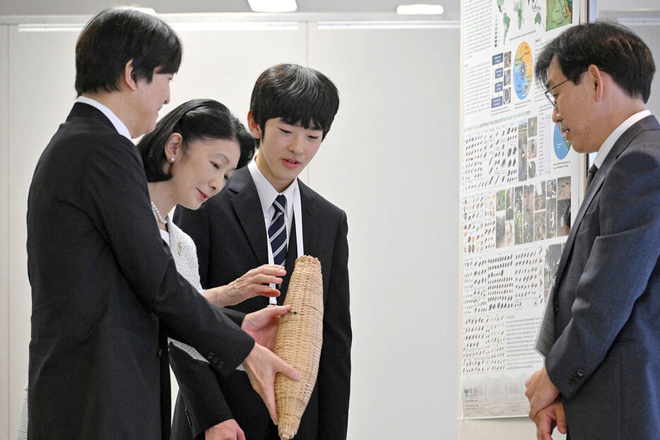 8月、昆虫学会議で説明を受けられるひと幕