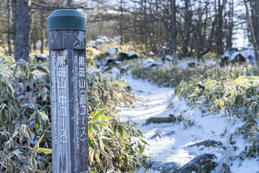 車坂峠の登山口。「表コース」「中コース」の分岐があります