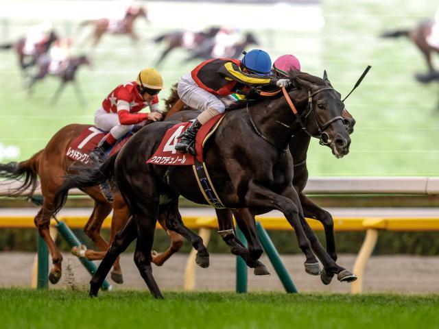 東スポ杯2歳S覇者のクロワデュノール(撮影：下野雄規)