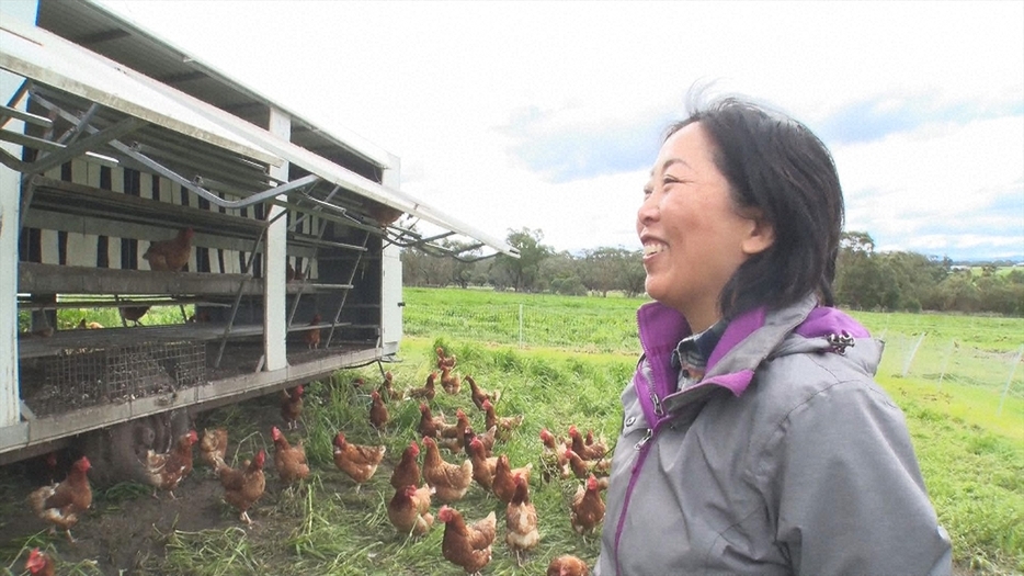 3羽の鶏と移動式の鶏小屋との出合いが卵農家になるきっかけに