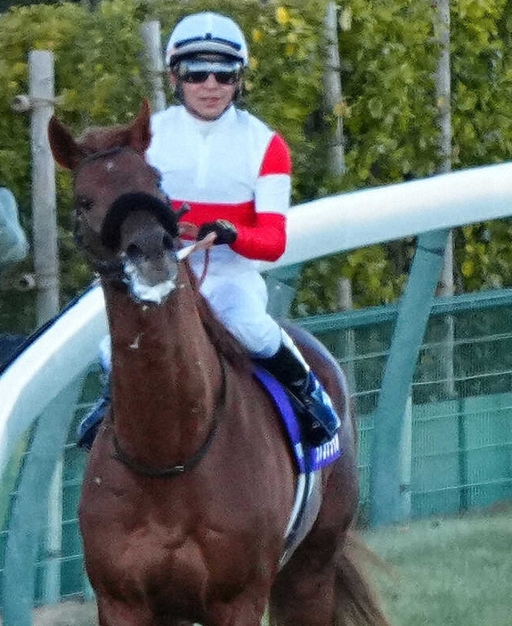 ＜中山11R・有馬記念＞3着の横山典騎乗のダノンデサイル（撮影・河野　光希）