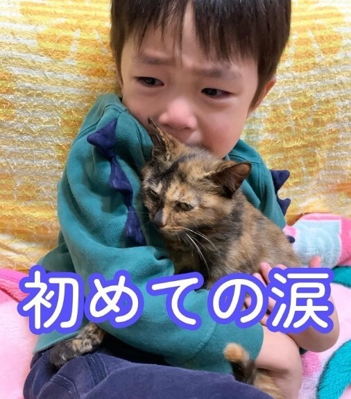 保護された子猫との別れを知って号泣する息子さんが話題に（yukakoさん提供、Instagramよりキャプチャ撮影）