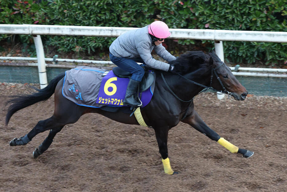 坂路で強めに追い切るジェットマグナム