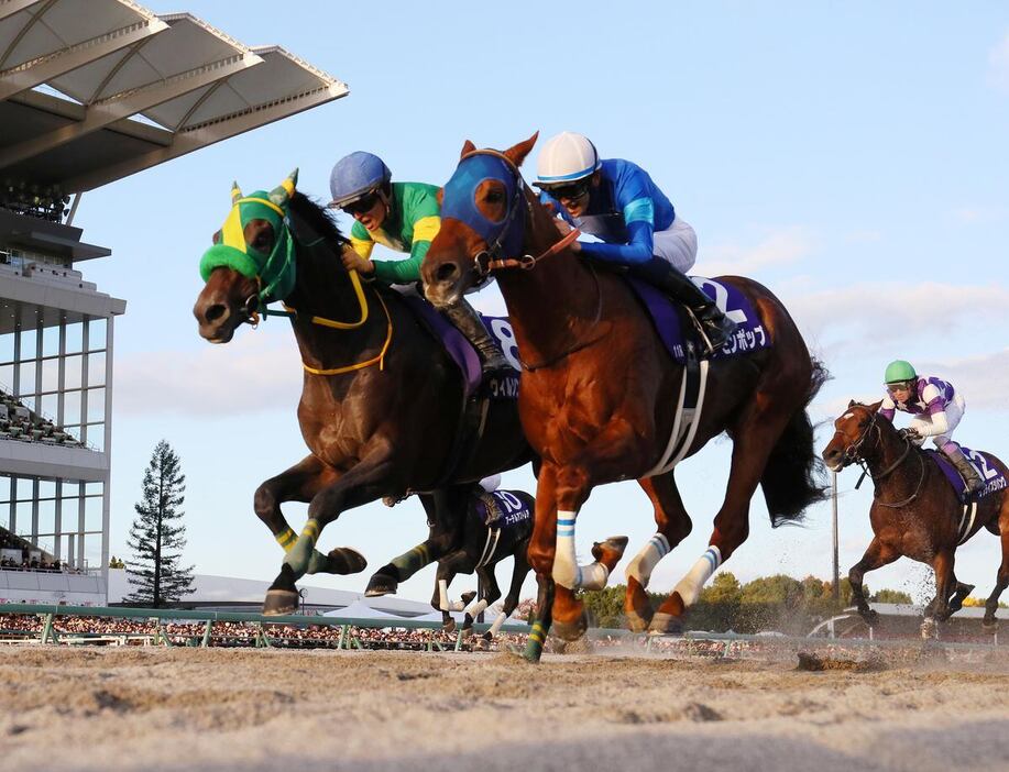 レモンポップ（手前）がハナ差の激闘を制した＝中京競馬場