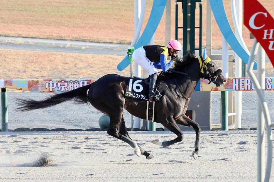 フリームファクシ＝中京競馬場（撮影・中島信生）