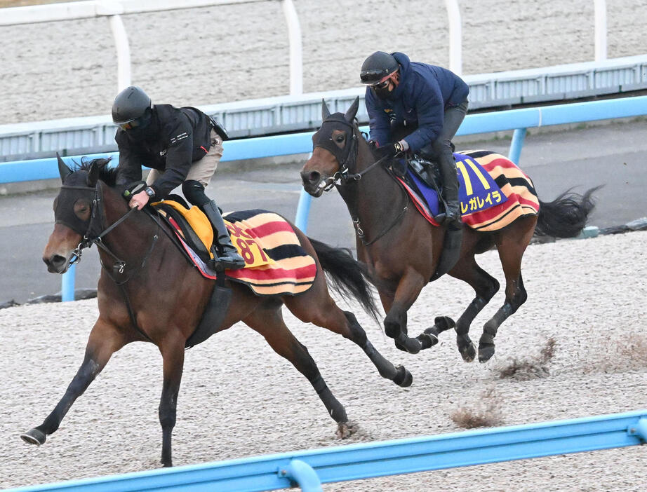 併せ馬で追い切るレガレイラ（右）（撮影・千葉一成）