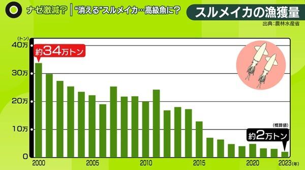 日テレNEWS NNN