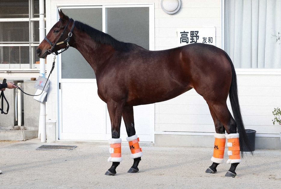 ＜有馬記念・馬体診断＞スタニングローズ