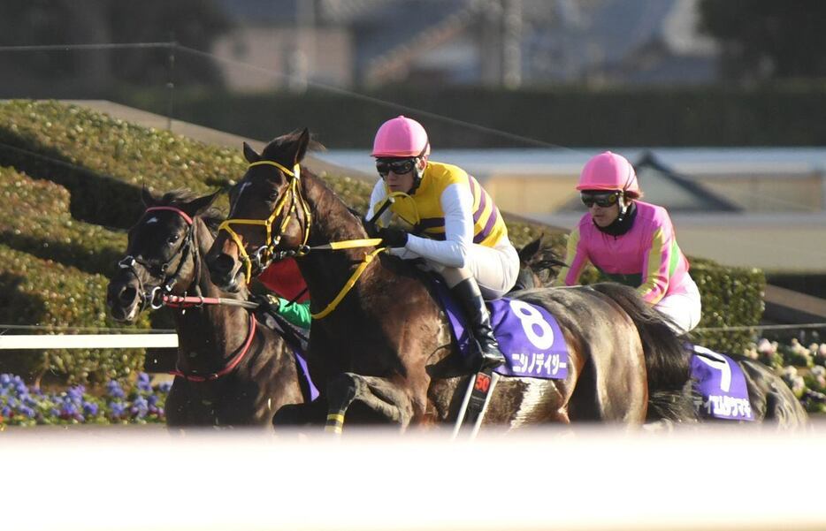 中山大障害を制したニシノデイジー＝21日、中山競馬場（撮影・奈良武）