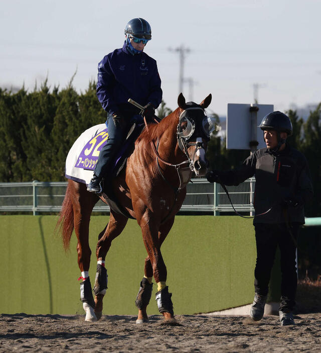 18日、最終追い切りを終えて馬場を出るアーバンシックとルメール騎手