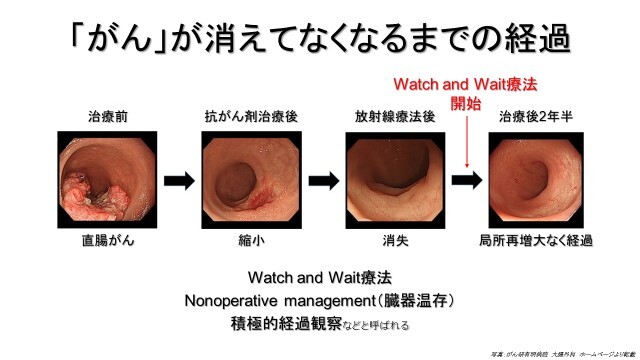 山口智弘医師提供