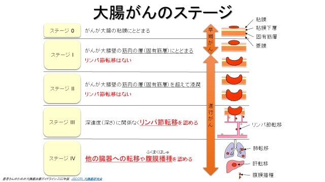 山口智弘医師提供