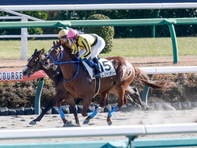 13番人気サヨノジャンボリーが勝利(c)netkeiba、撮影：下野雄規