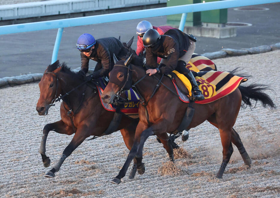 レガレイラは戸崎騎手を背に美浦ウッドで追い切られた（撮影・丹羽敏通）