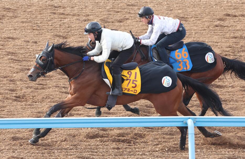 　ウッドチップコースでウィンダミアと併せて追われるミアネーロ（手前）