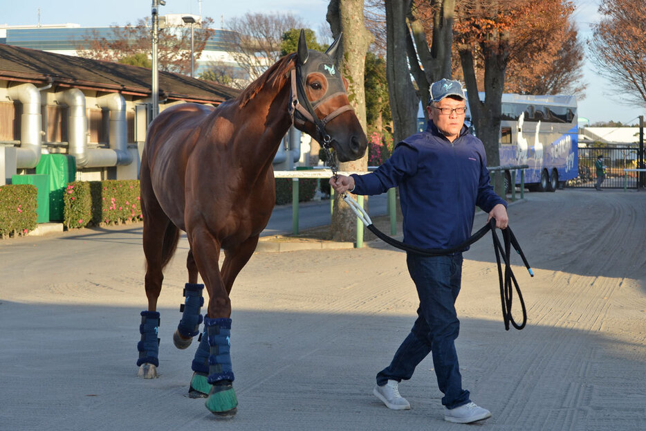 中山競馬場へ到着したダノンデサイル