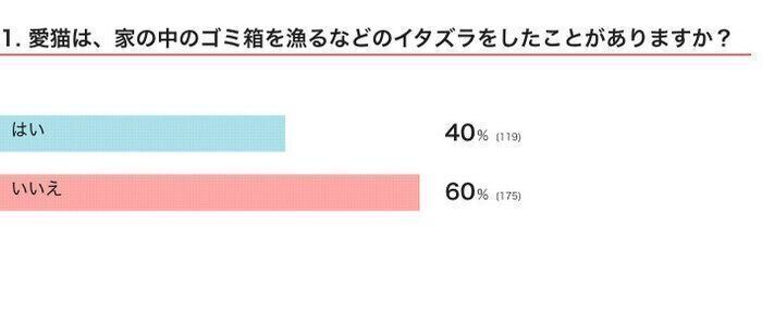 ※2024年10月実施「ねこのきもちアプリ」内アンケート調査（回答者数 294人）