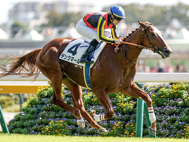 デビュー2連勝を狙うデンクマール(撮影：下野雄規)