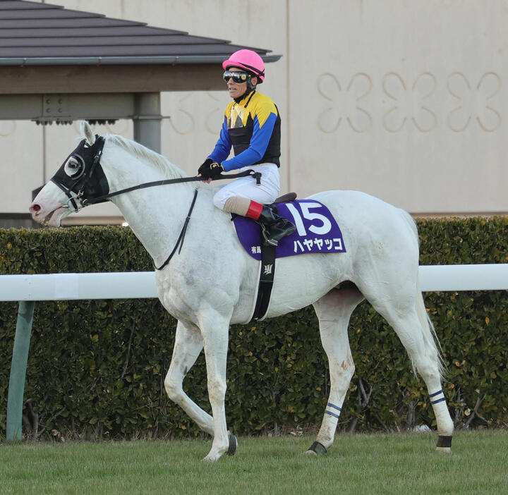 有馬記念で15着に終わったハヤヤッコと吉田豊騎手（2024年12月22日撮影）