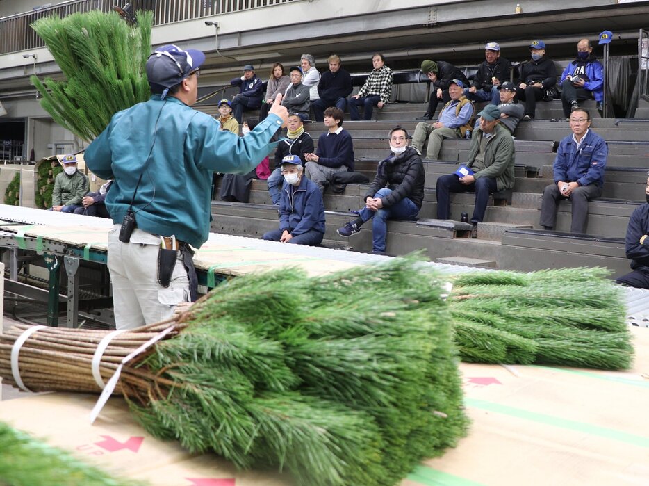 １８万本の松が取引された会場（宇治市伊勢田町・大原総合花き市場）