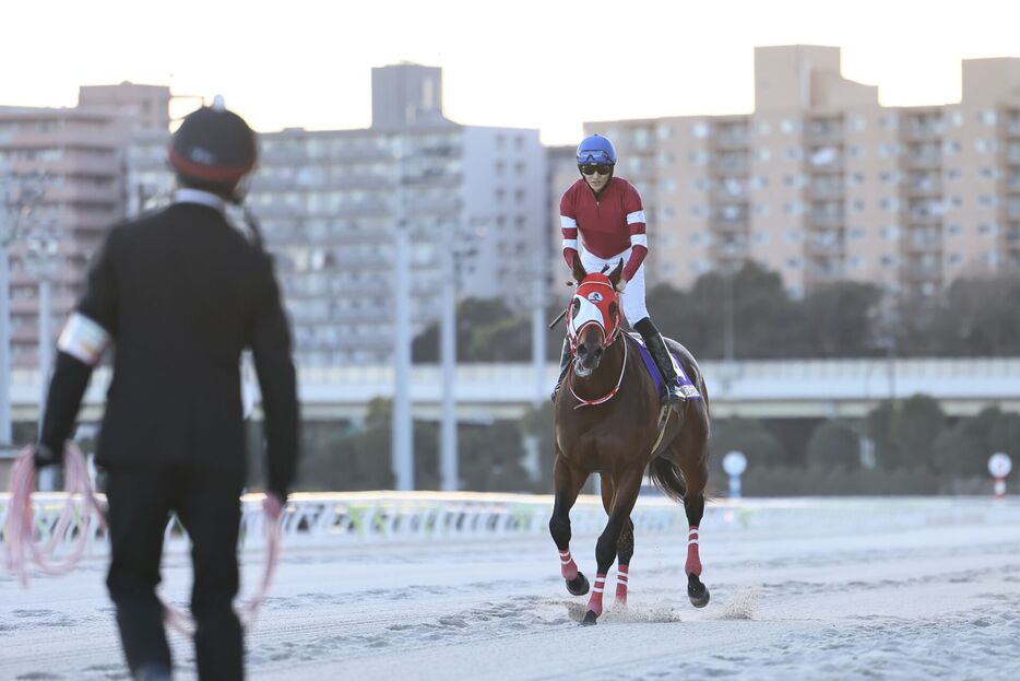 東京大賞典・フォーエバーヤングと坂井瑠星騎手 (C)Hiroki Homma