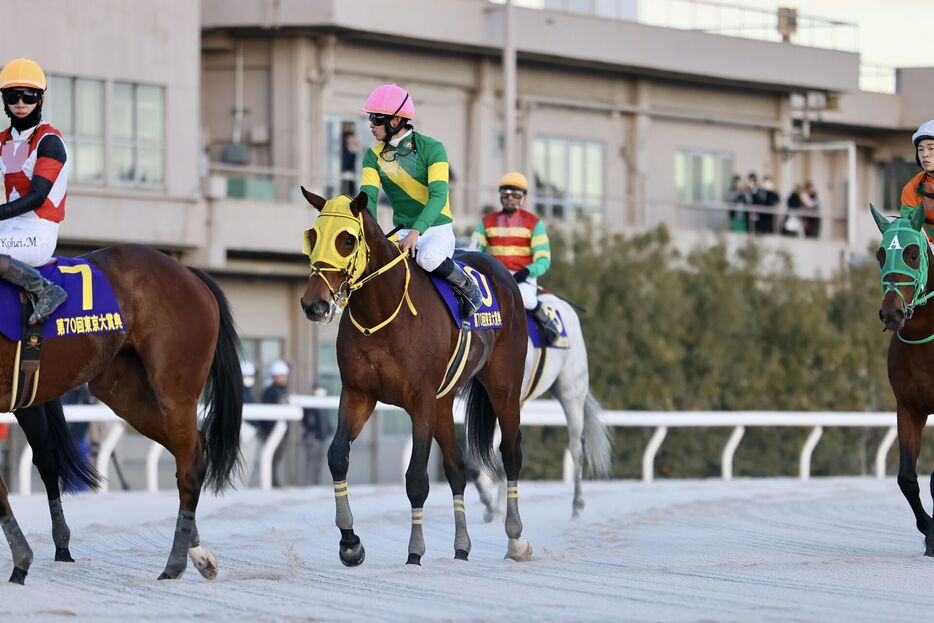 東京大賞典・ウシュバテソーロと菅原明良騎手 (C)Hiroki Homma