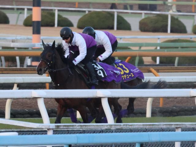 有馬記念最終追い切りをおこなったドウデュース(写真右奥、撮影：井内利彰)