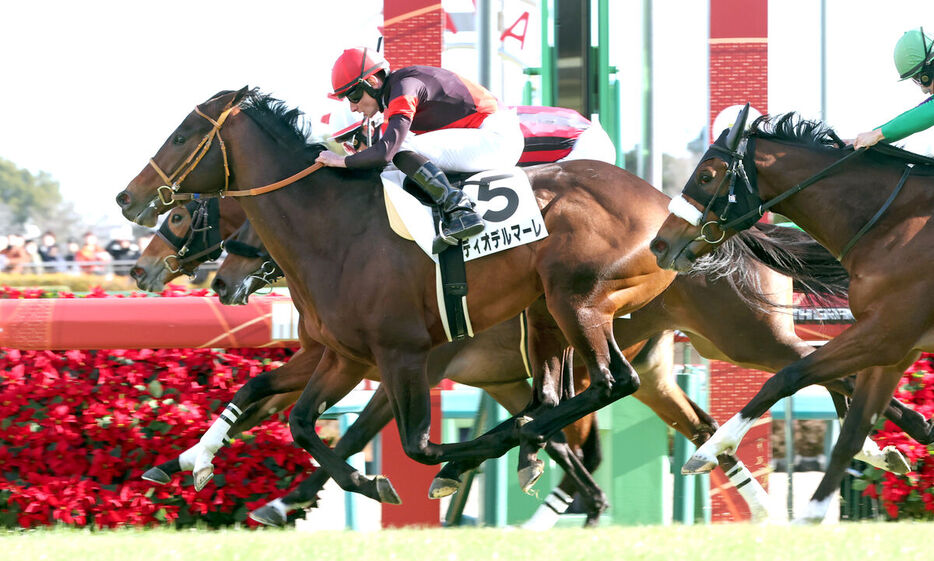 ムーア騎手騎乗のディオデルマーレ（馬番５）が混戦のゴール前を制す（カメラ・高橋　由二）