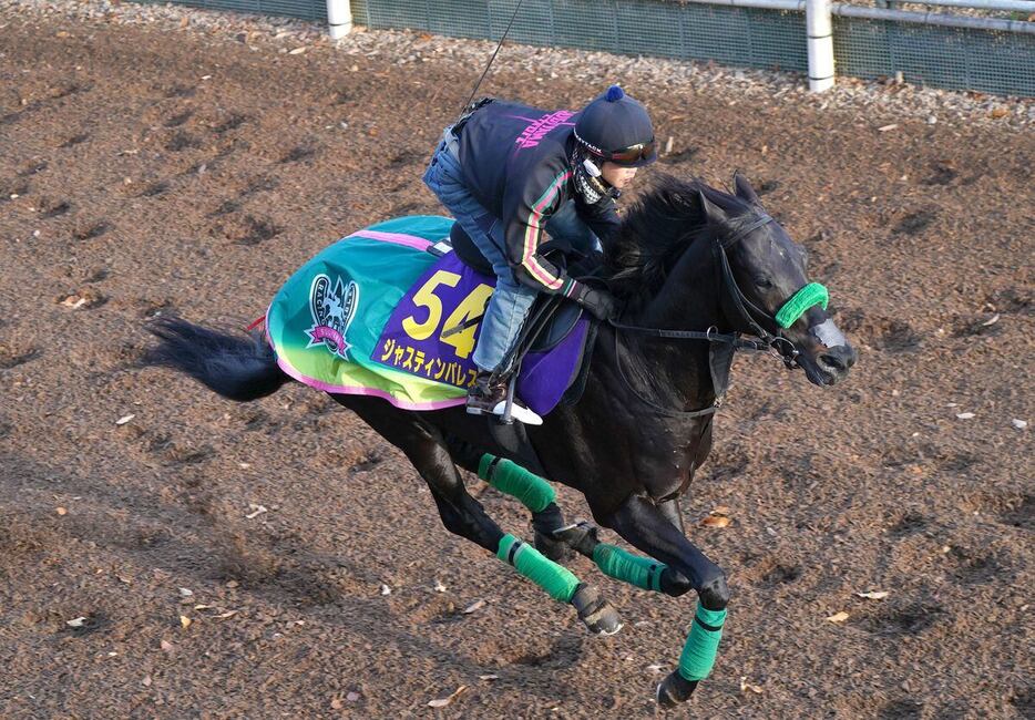 有馬記念の追い切りを行ったジャスティンパレス（撮影・岩川晋也）