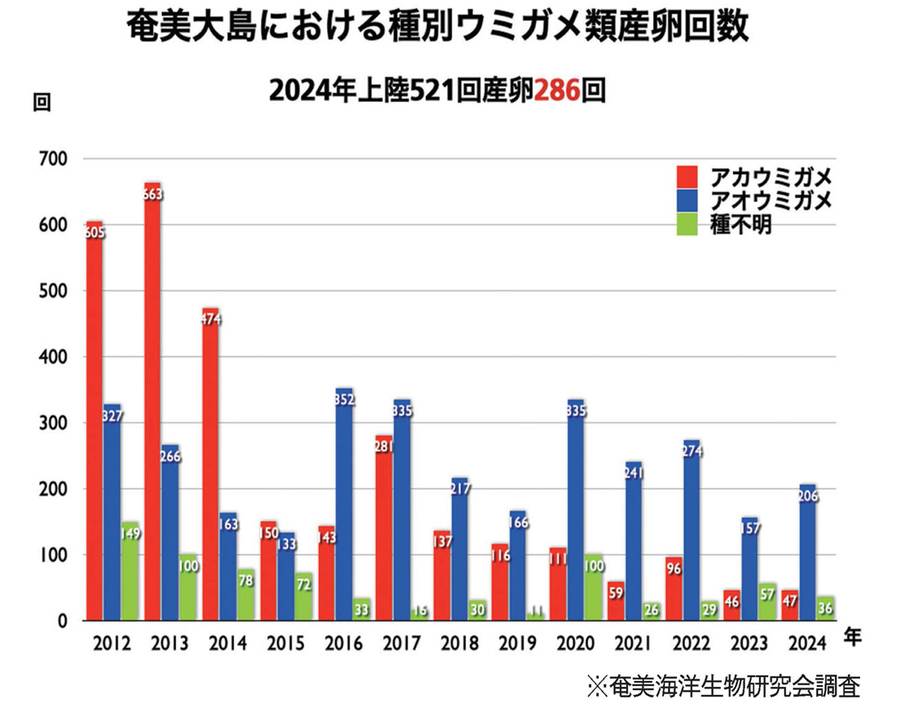 鹿児島県奄美大島におけるウミガメ類の産卵回数