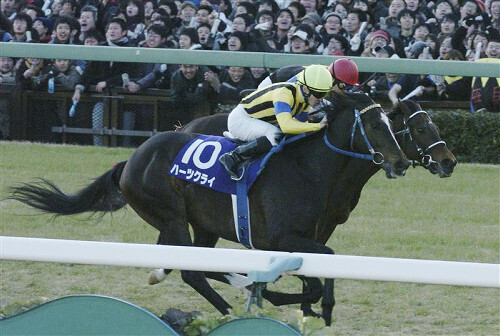 ２００５年の有馬記念でハーツクライにまたがり、無敗の三冠馬ディープインパクトを撃破