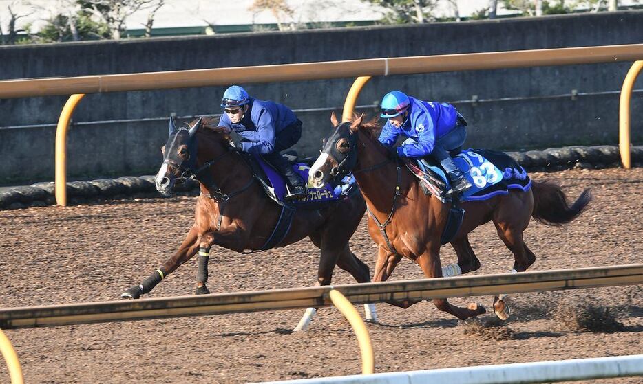 アルテヴェローチェ（左奥）＝4日、栗東トレセン（撮影・菅原和彦）