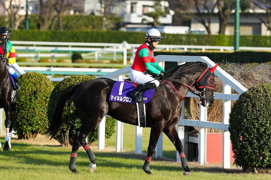 ＜中山10R・中山大障害＞馬場の確認を行う石神深騎乗のマイネルグロン（撮影・河野　光希）