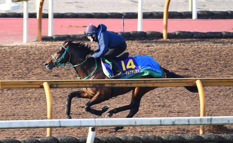 活気あふれる走りを披露したトータルクラリティ＝栗東トレセン（撮影・岩川晋也）