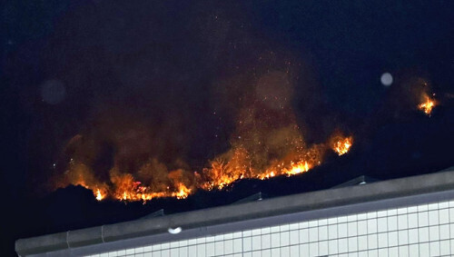 炎を上げて燃える皿ヶ峰（１４日午後６時２９分、高知市で）