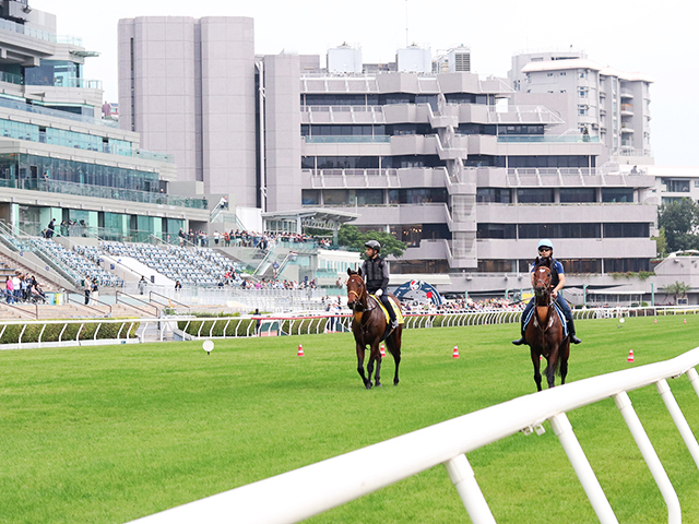 香港で最終調整したタスティエーラ(右)とサトノレーヴ(C)netkeiba