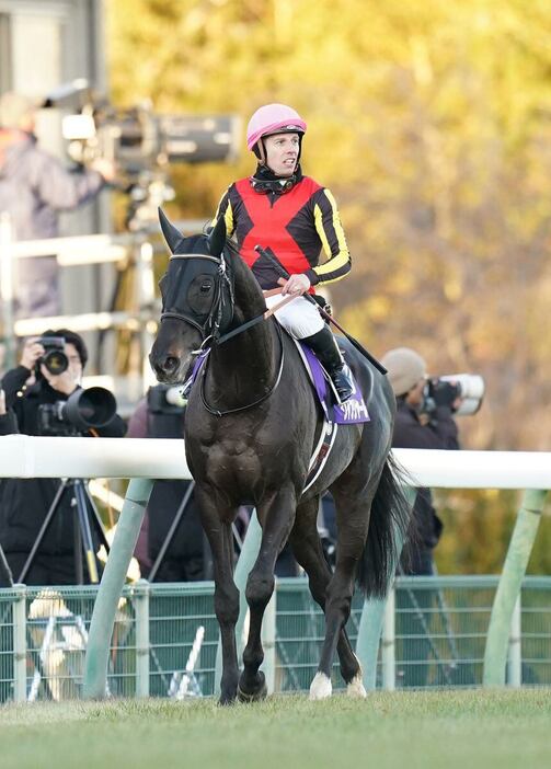 有馬記念で2着に敗れたシャフリヤール＝中山競馬場（撮影・岩川晋也）