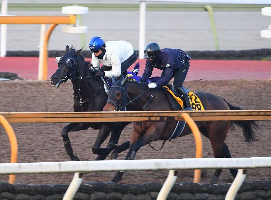 栗東CWコースで余力たっぷりに併入したクロワデュノール（奥）＝栗東トレセン（撮影・岩川晋也）