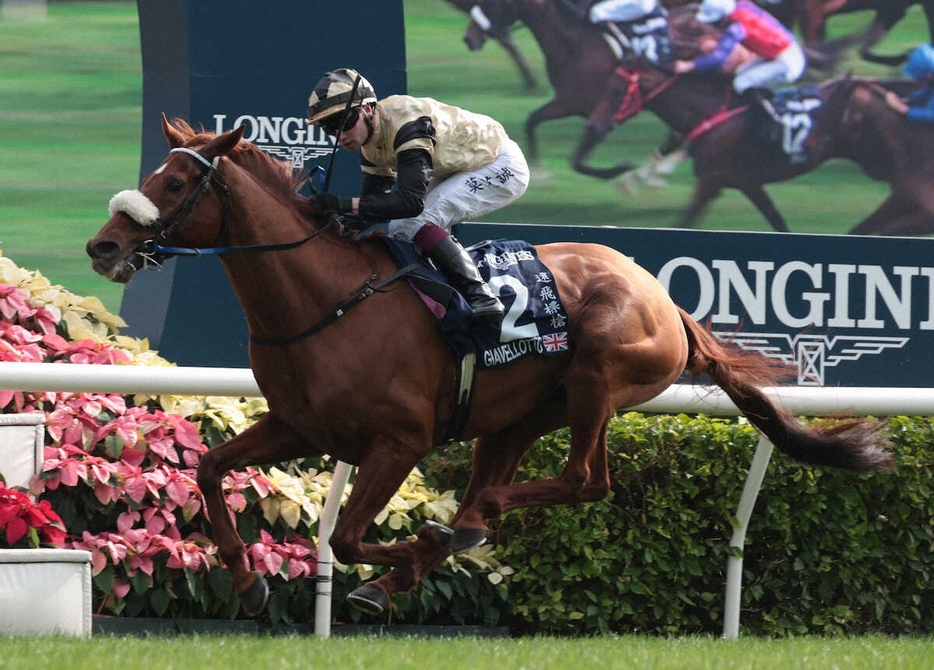 ＜香港ヴァーズ＞香港ヴァーズを制したジアヴェロット（撮影・坂田　高浩）