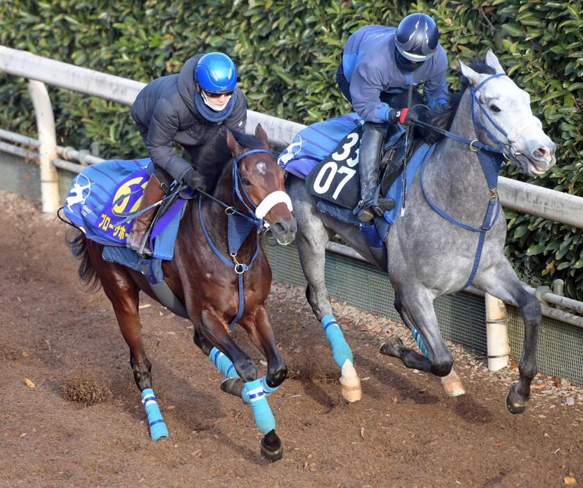 　復調気配が漂うブローザホーン（左）＝撮影・石井剣太郎