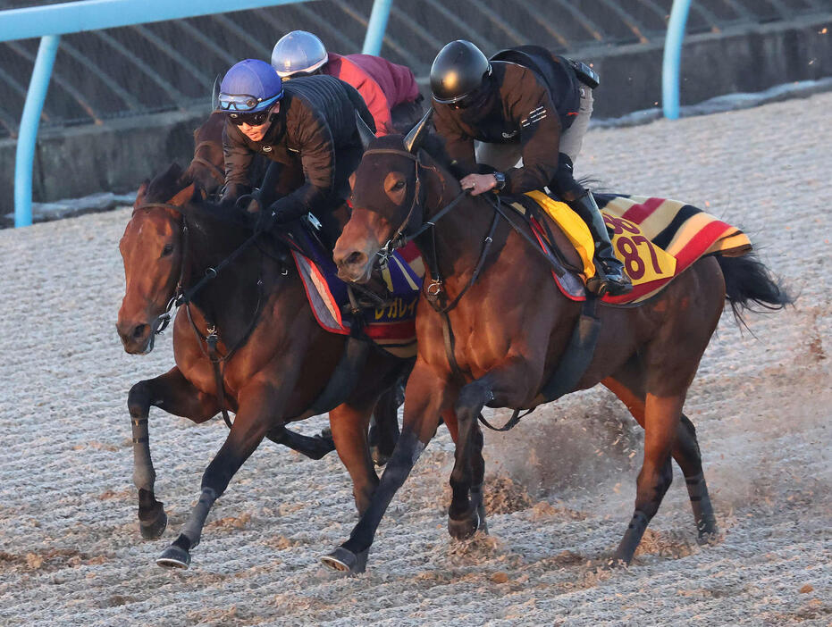 レガレイラ（左）は美浦ウッドを3頭併せで追い切られた（撮影・丹羽敏通）