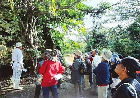 津波大石を見学する真栄里老人クラブ若竹会の会員ら＝１１月２７日、石垣市大浜・崎原公園（若竹会提供）